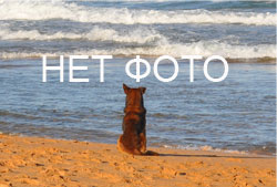 Веццано Лигуре