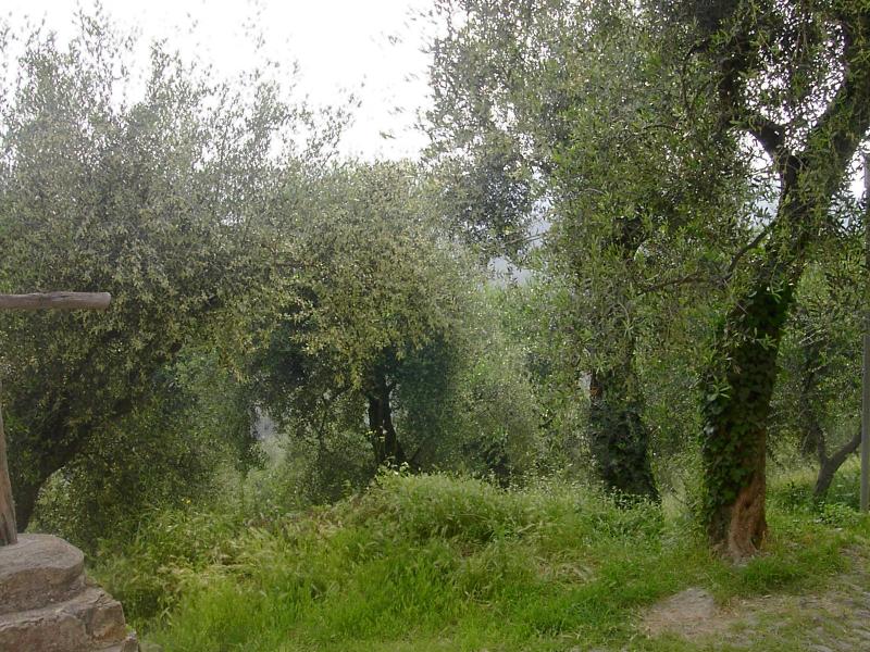 Pairola